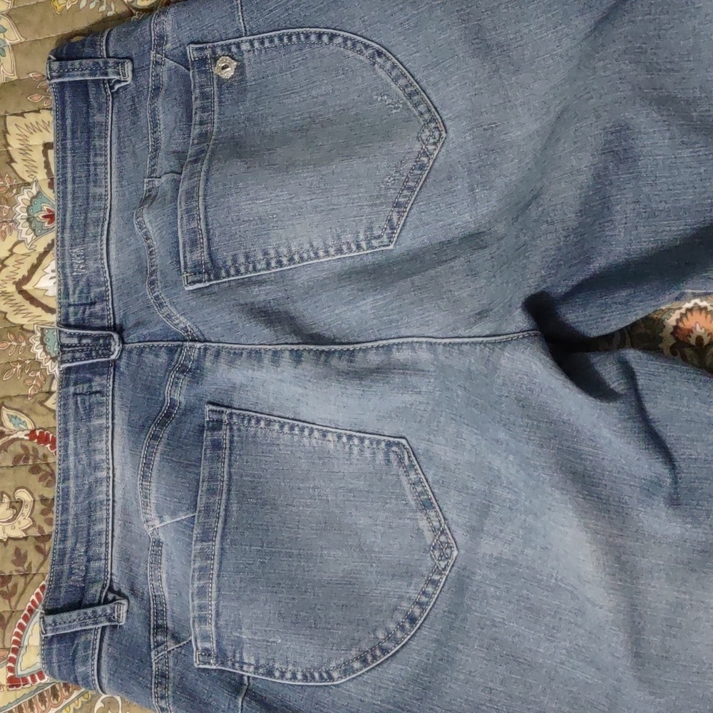 Democracy Jeans Absolution Size 12 Ankle Skimmer - Picture 3 of 6